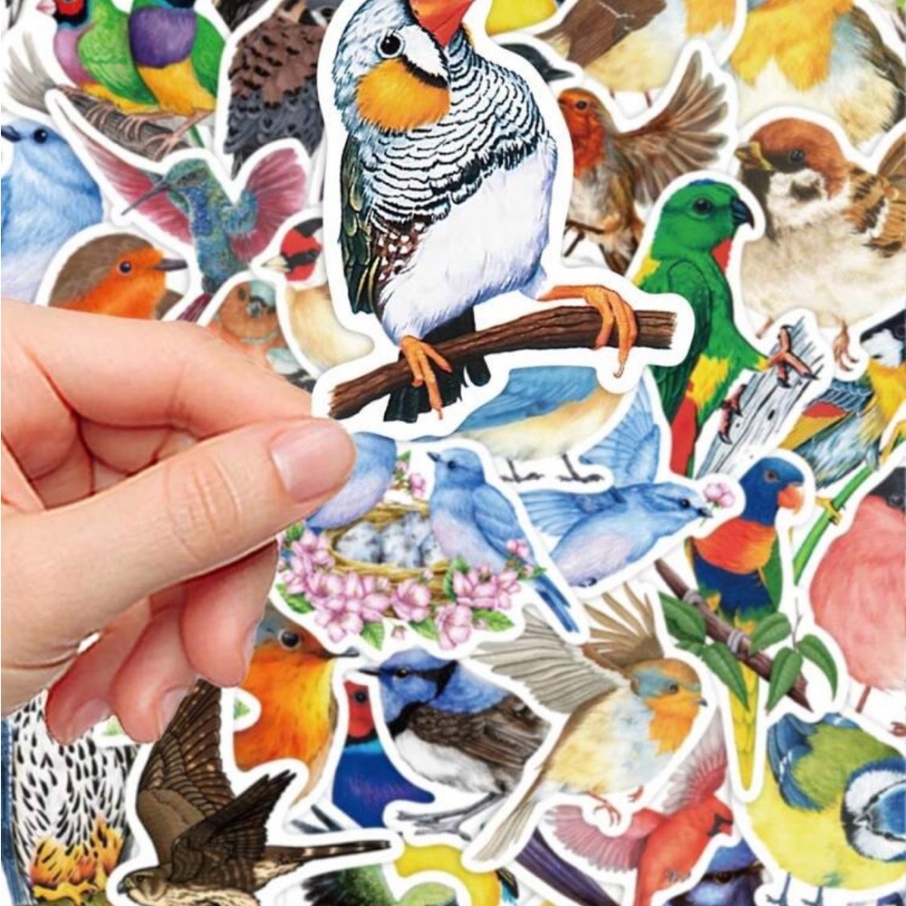 50 Colorful Bird Stickers - Picture 2 of 9